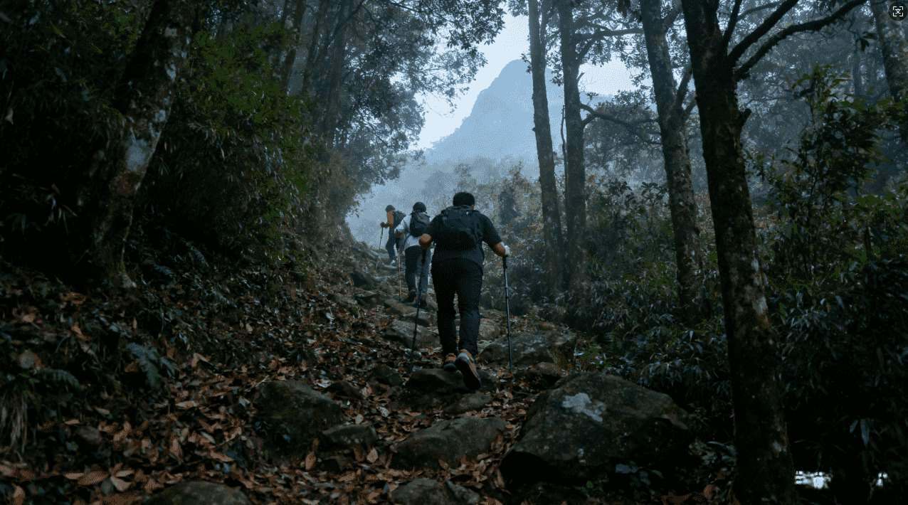 旋风加速器无限极速体验全面升级
